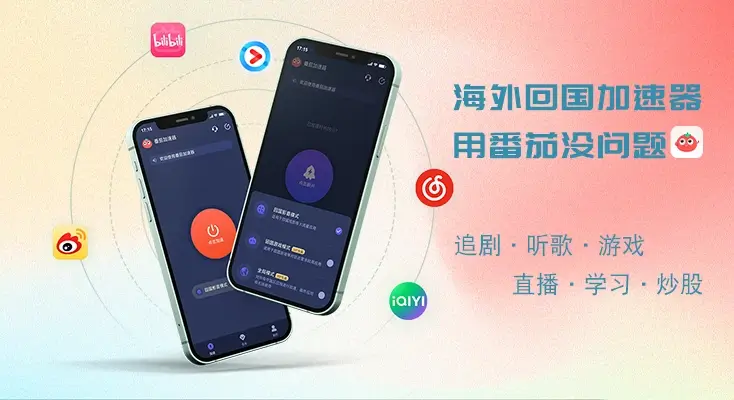 独享IP 加速器指南